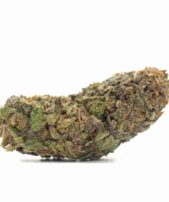 Black Gorilla Strain