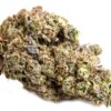 Bordello Strain Online
